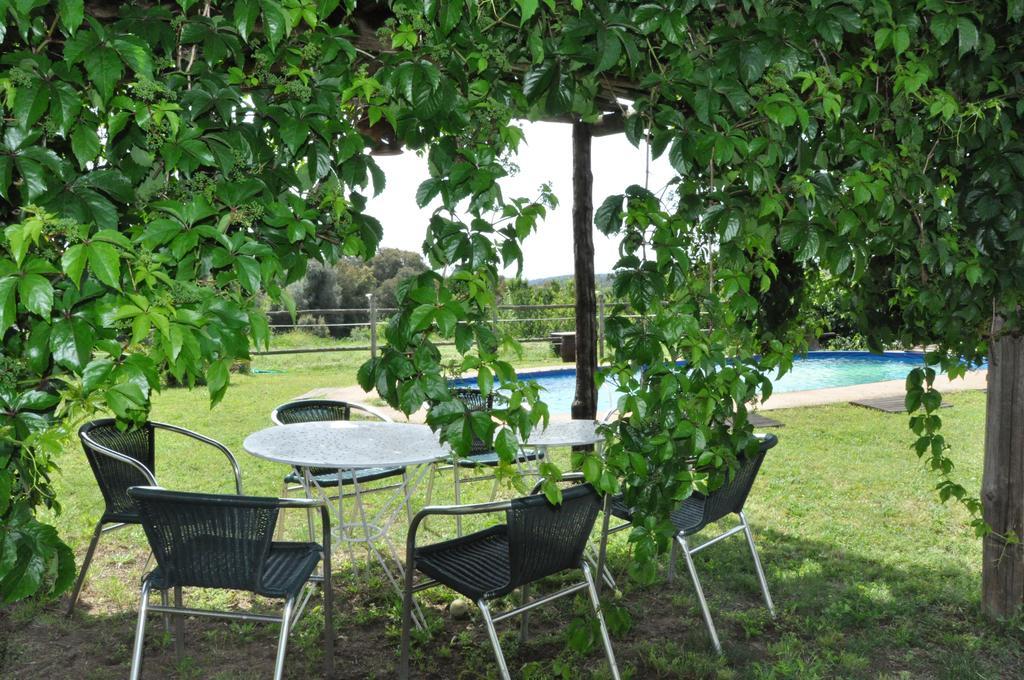 Can Masferrer Riudarenes Exterior foto